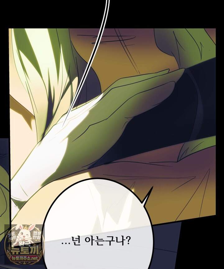 버그 트레인 245화 41