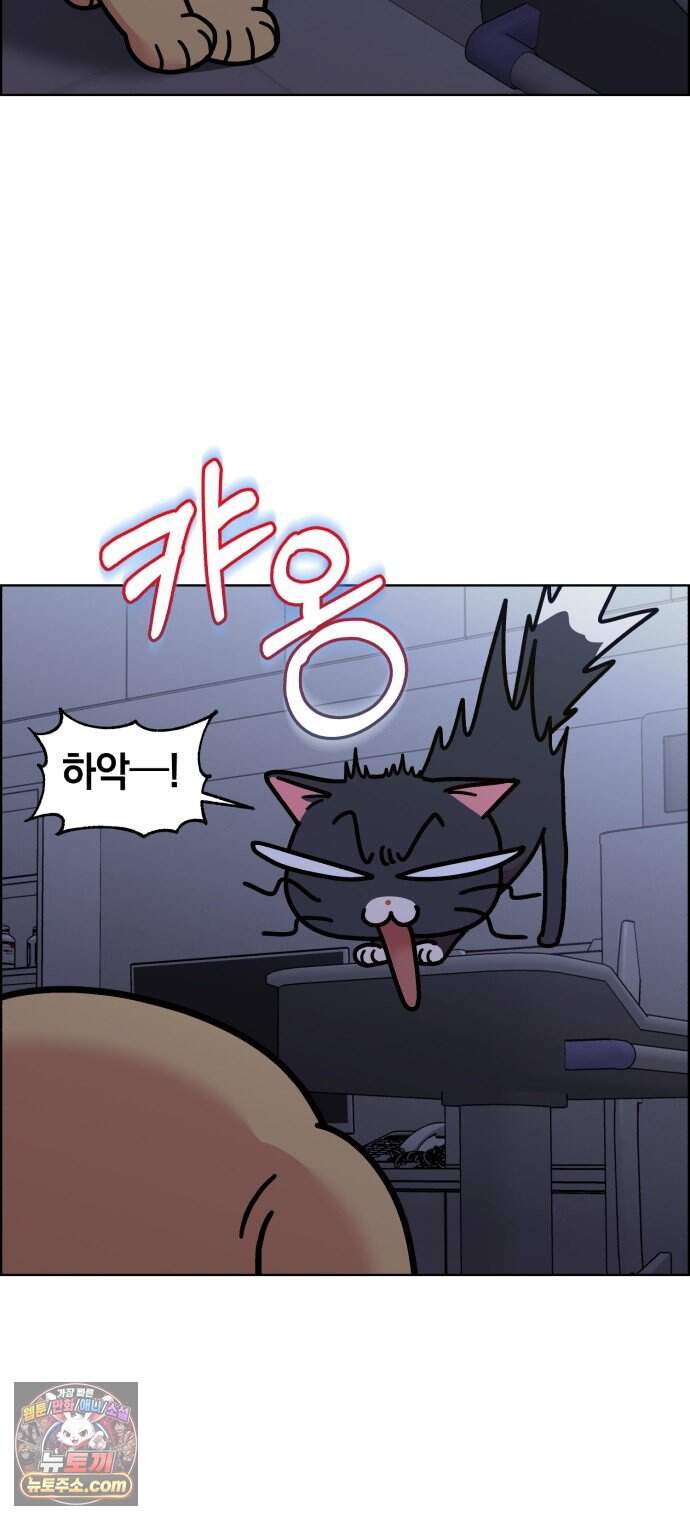 냥냥찍찍! 75화. 먹고 먹히는 사이 6