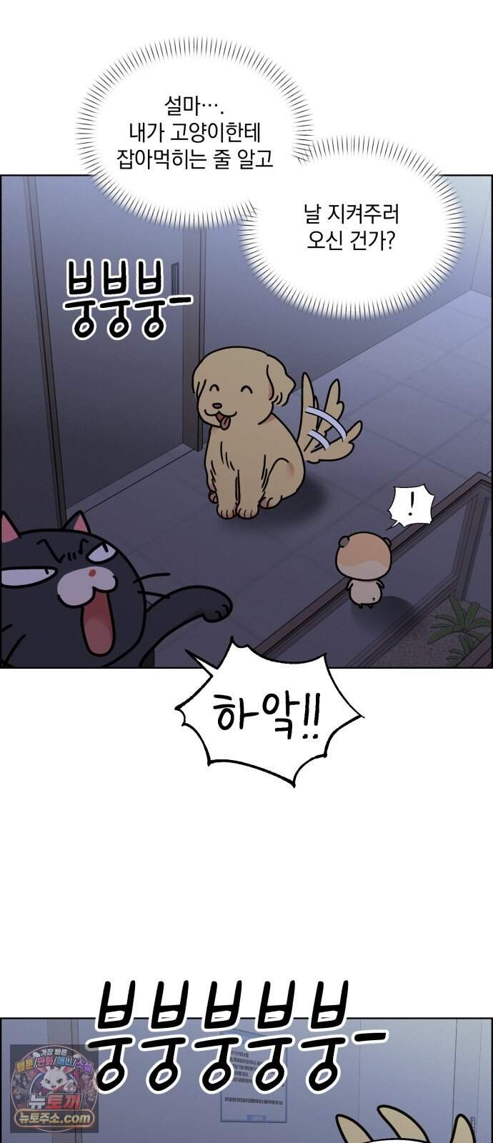 냥냥찍찍! 75화. 먹고 먹히는 사이 7