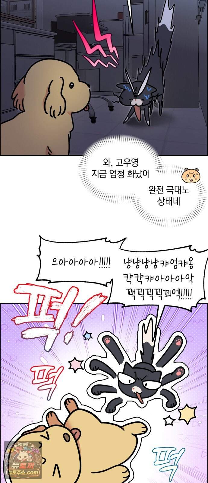 냥냥찍찍! 75화. 먹고 먹히는 사이 11