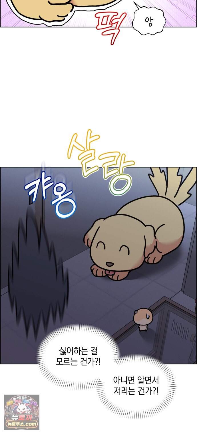 냥냥찍찍! 75화. 먹고 먹히는 사이 12