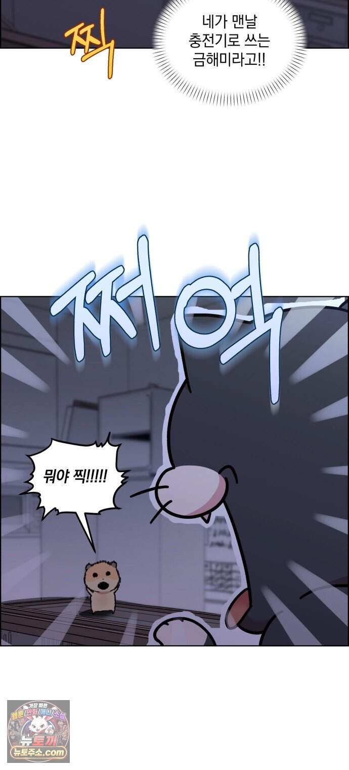 냥냥찍찍! 75화. 먹고 먹히는 사이 15