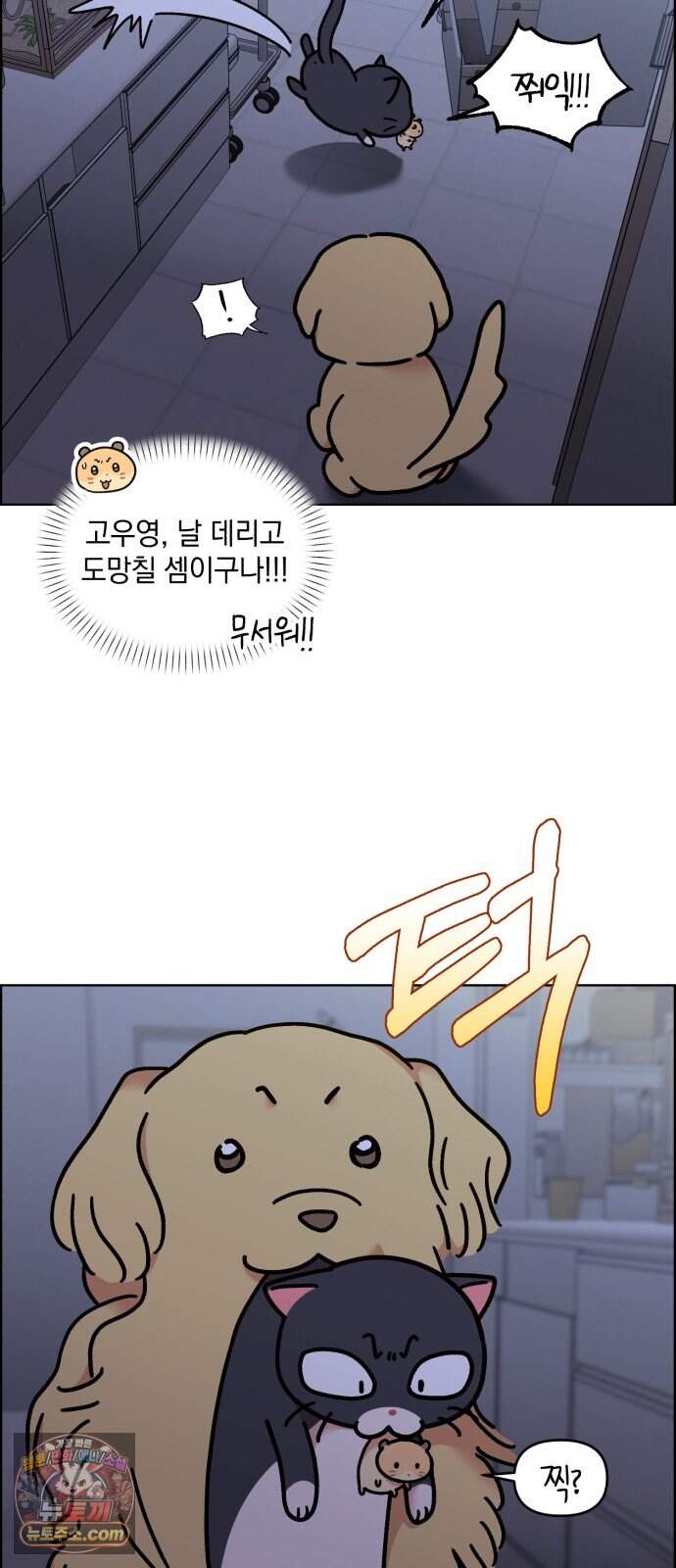 냥냥찍찍! 75화. 먹고 먹히는 사이 17