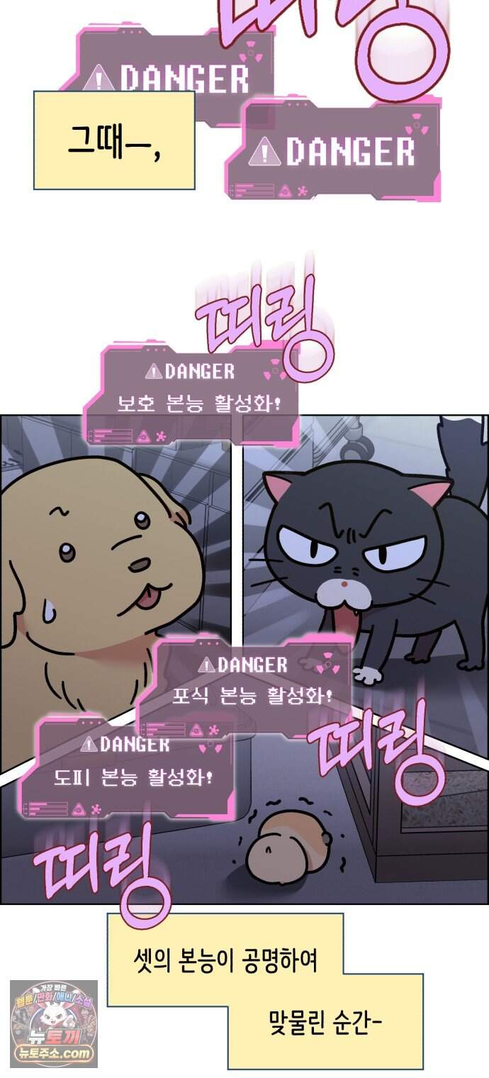 냥냥찍찍! 75화. 먹고 먹히는 사이 21