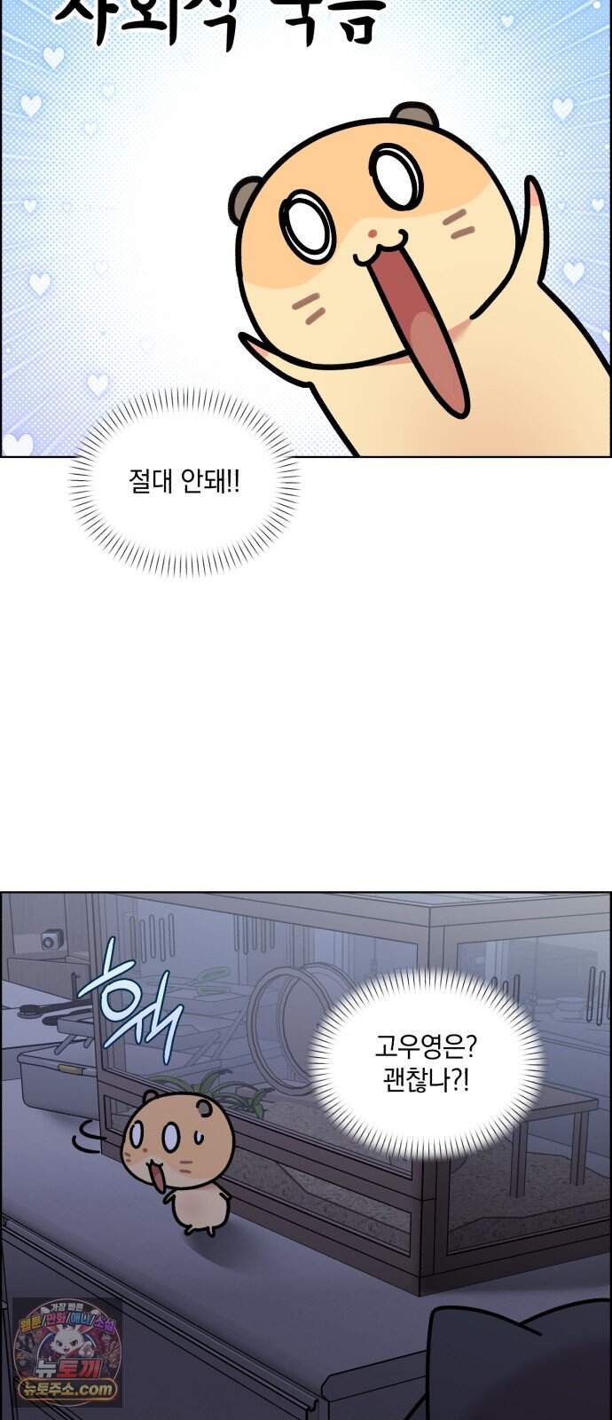 냥냥찍찍! 75화. 먹고 먹히는 사이 26