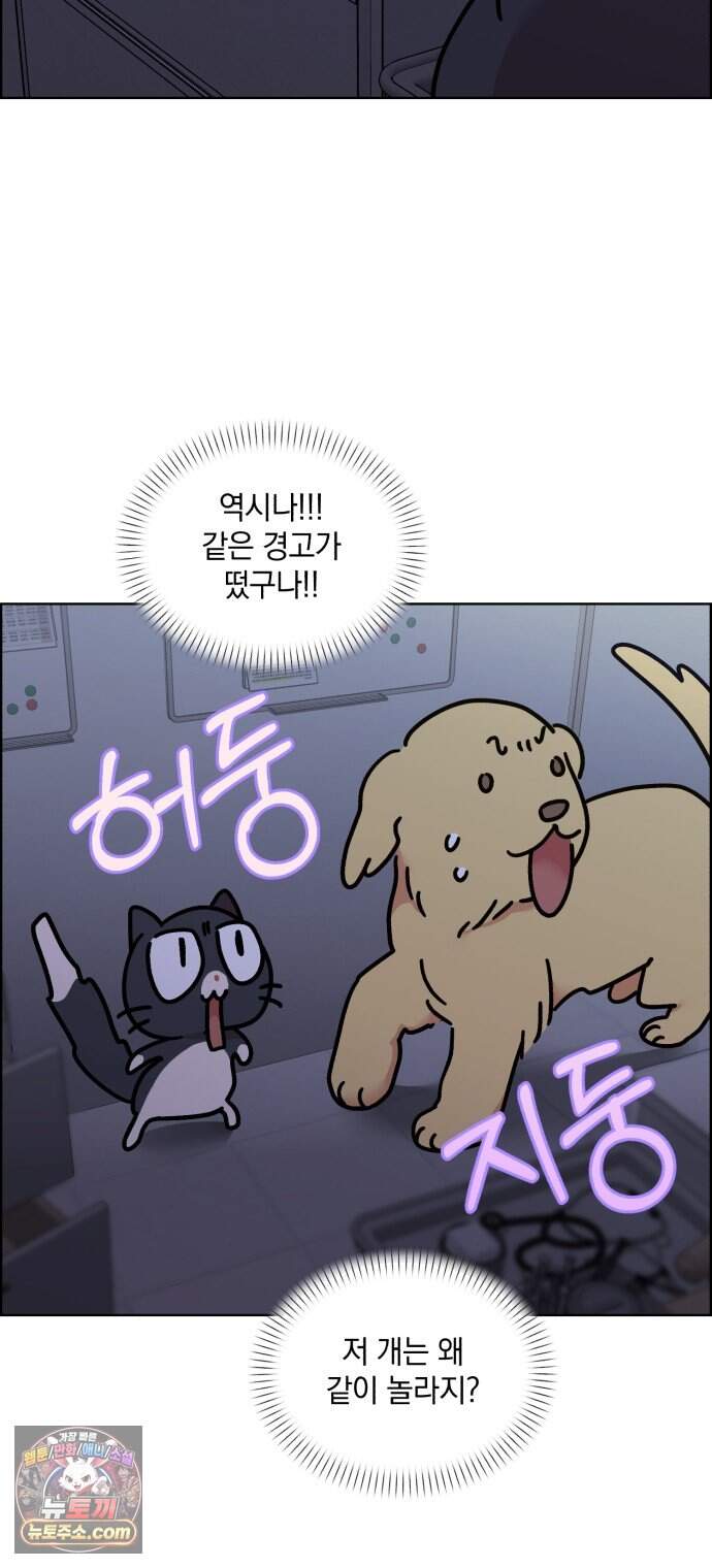냥냥찍찍! 75화. 먹고 먹히는 사이 27