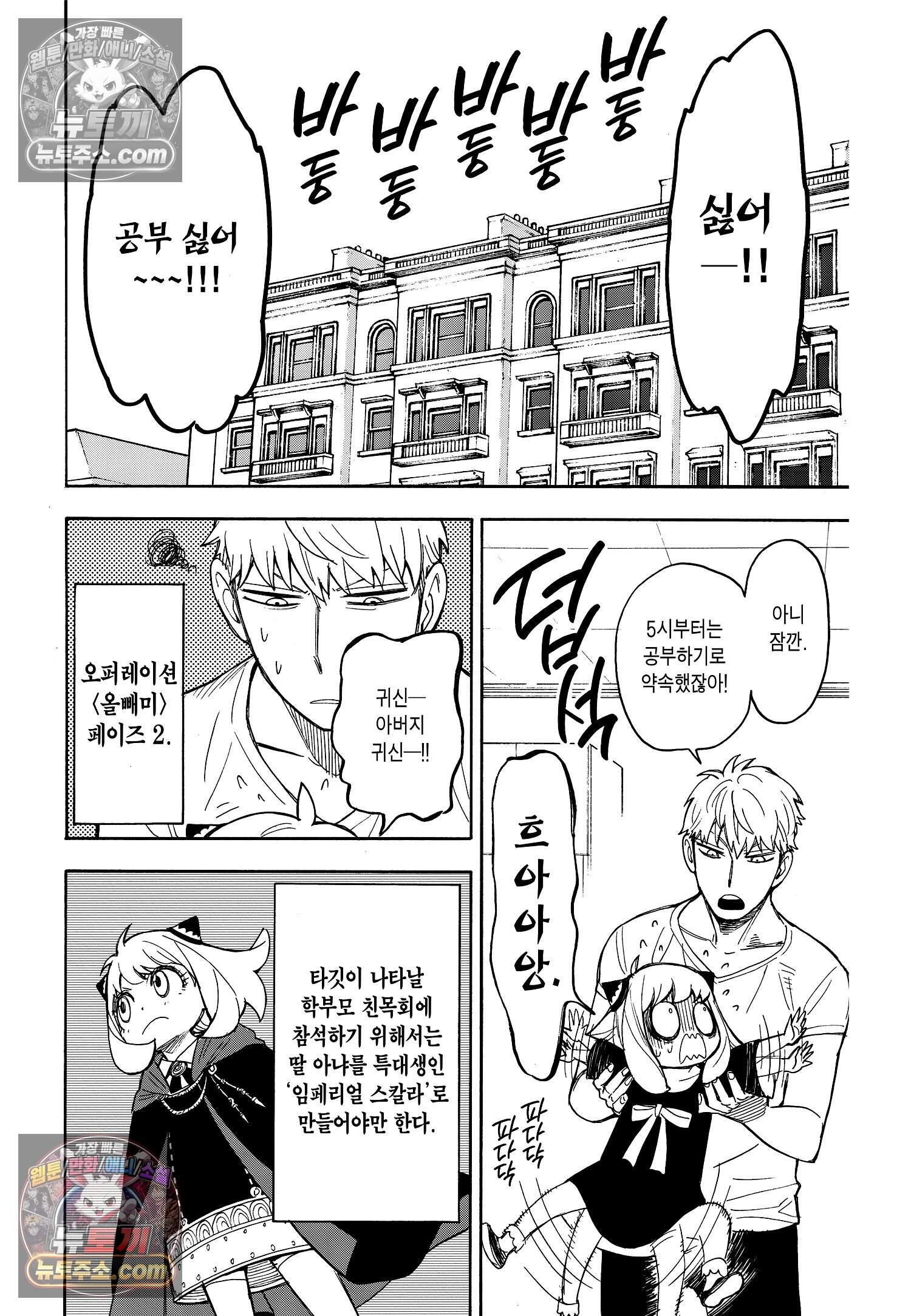 스파이 패밀리 MISSION : 16 3