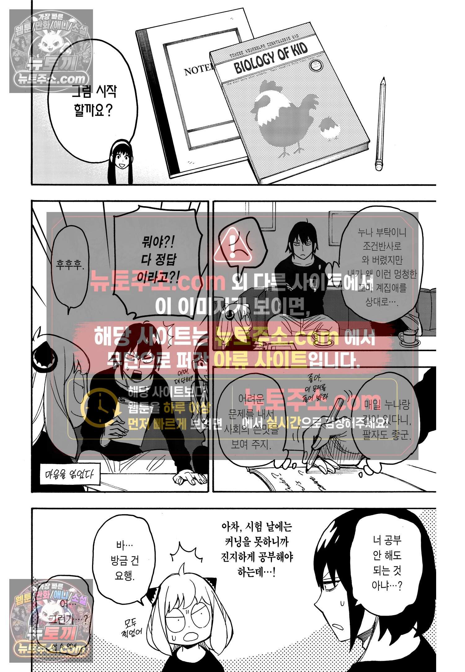 스파이 패밀리 MISSION : 26 13