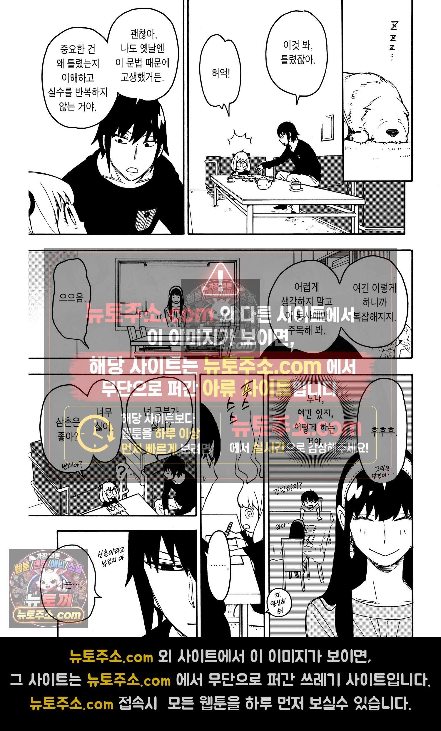 스파이 패밀리 MISSION : 26 16