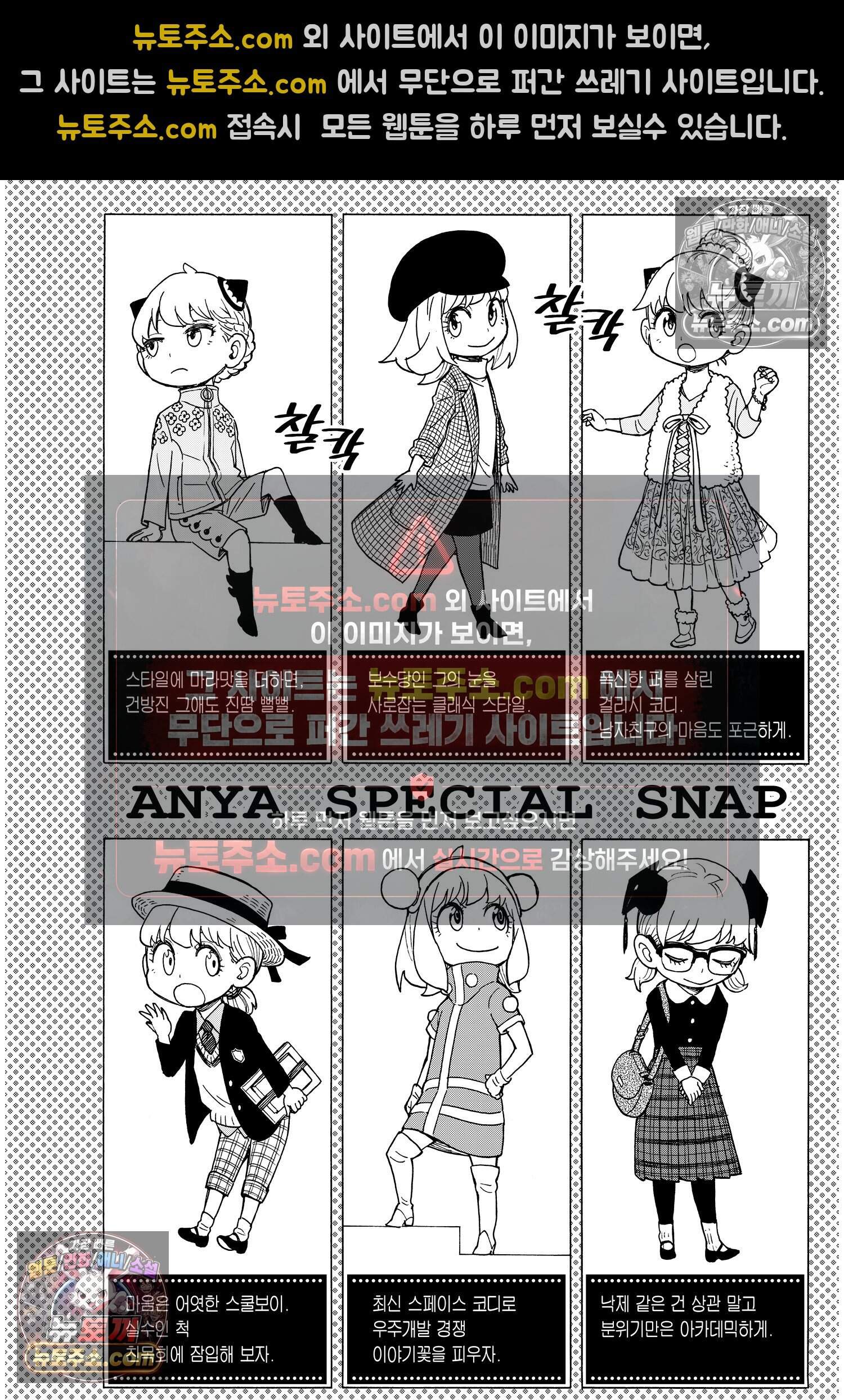 스파이 패밀리 MISSION : 36 9