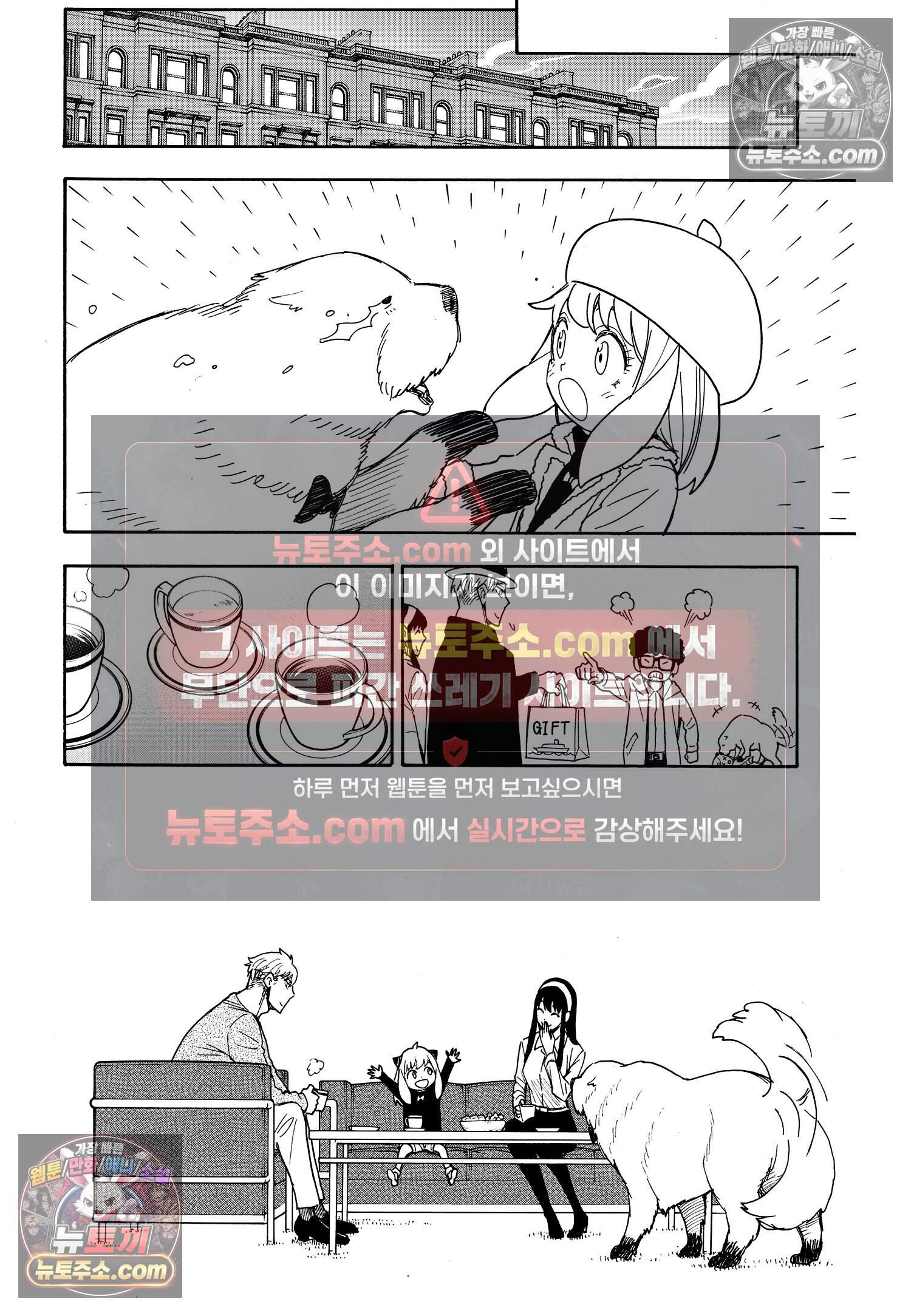 스파이 패밀리 MISSION : 56 19