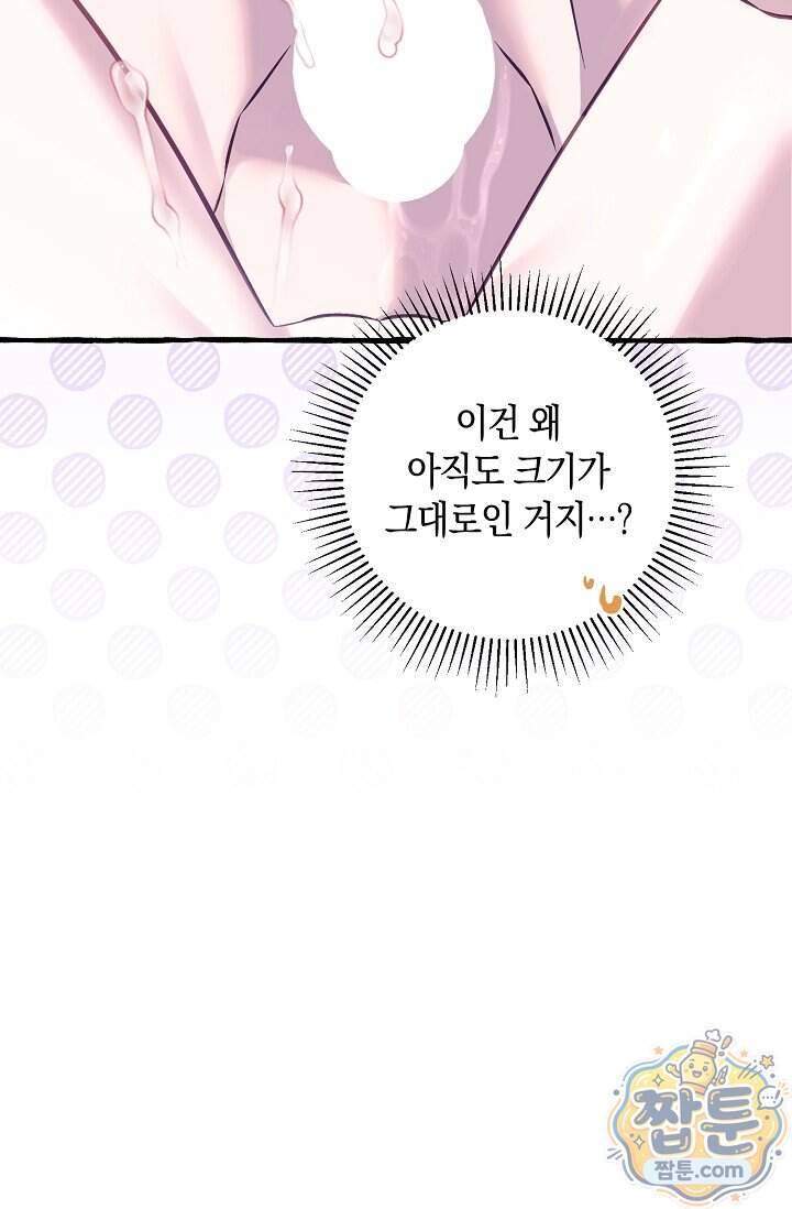 공작 부부에겐 비밀이 있다 17화 46
