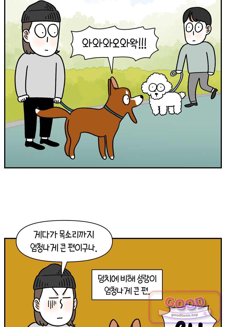극한견주 시즌2 158화 3