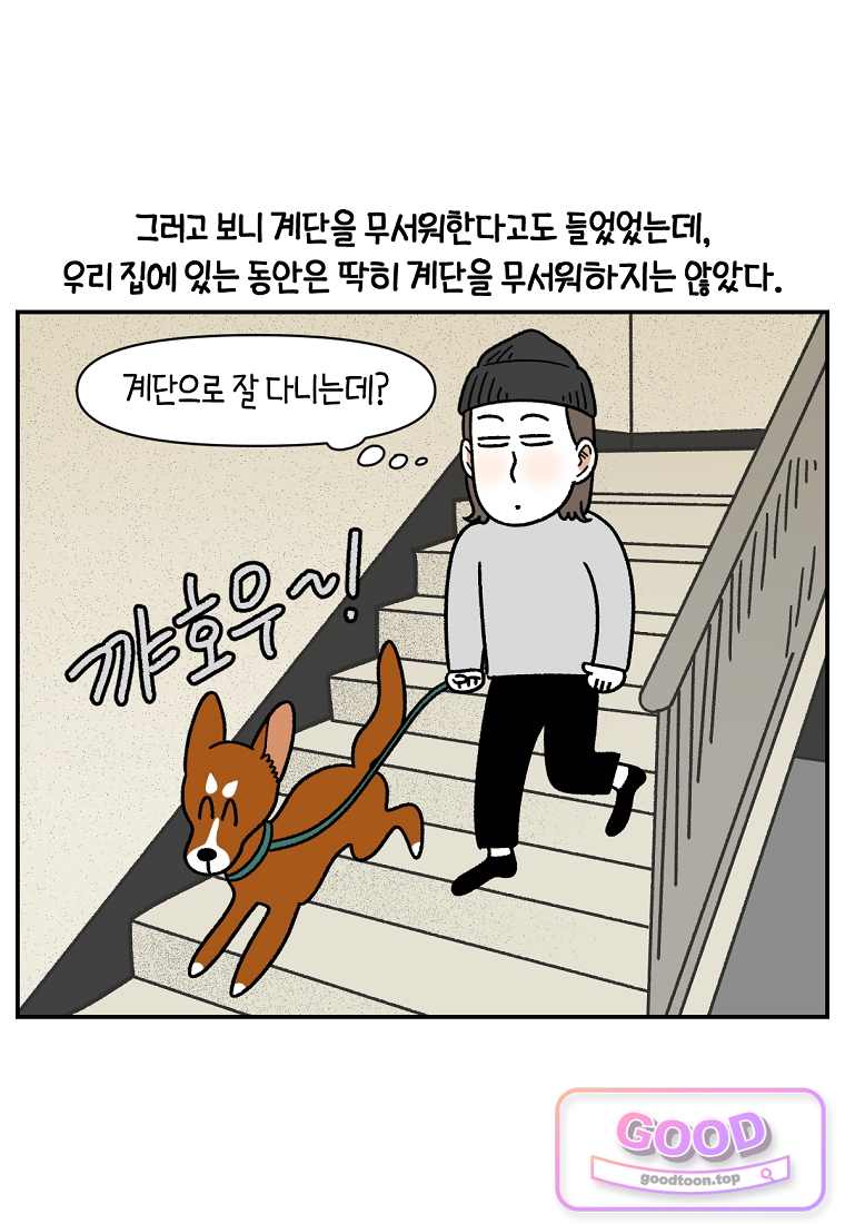 극한견주 시즌2 158화 5