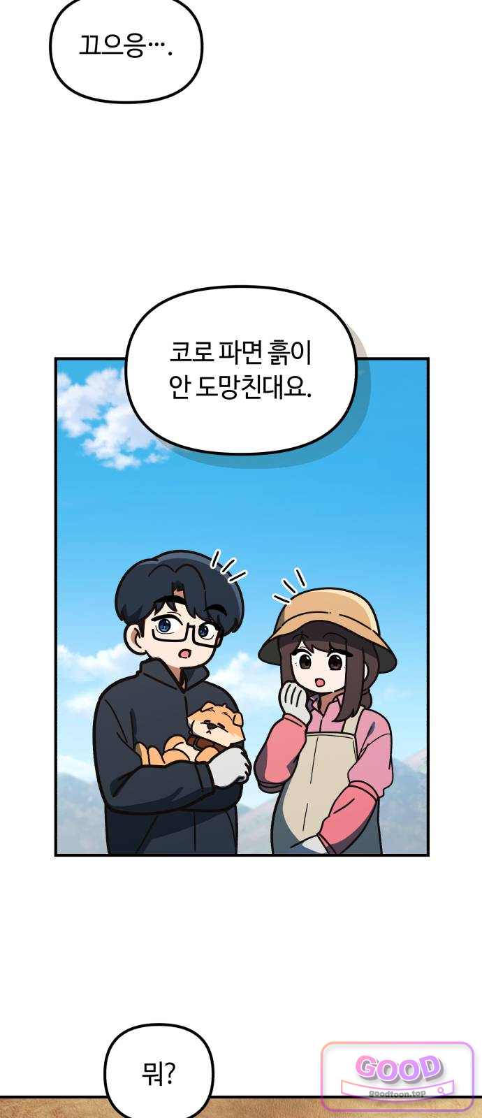 천재는 평범하게 살기로 했더 70화 12