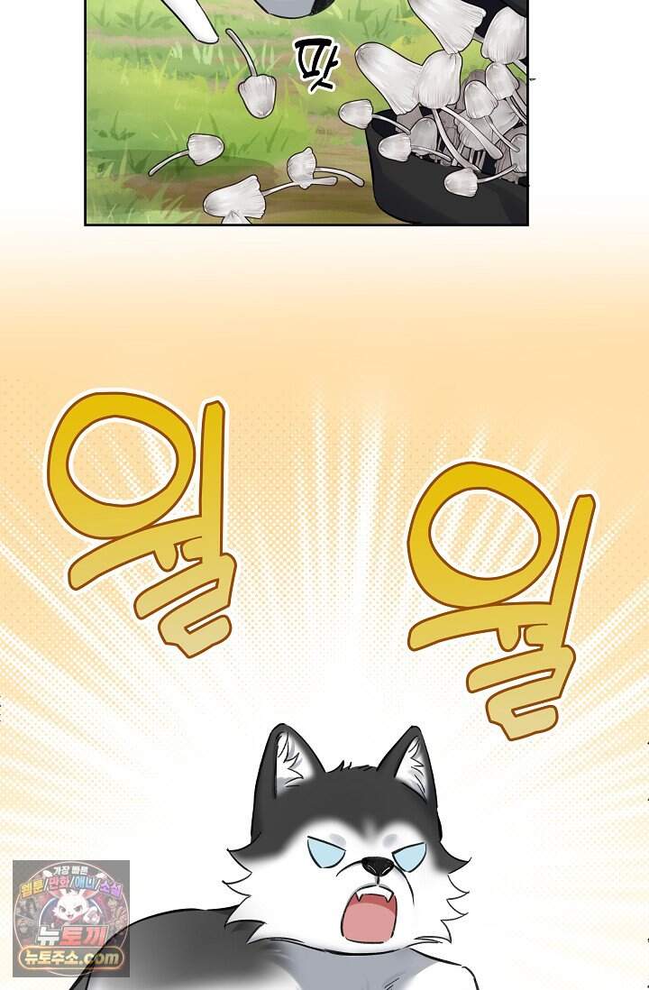 늑대가 날 책임지겠대 37화 7