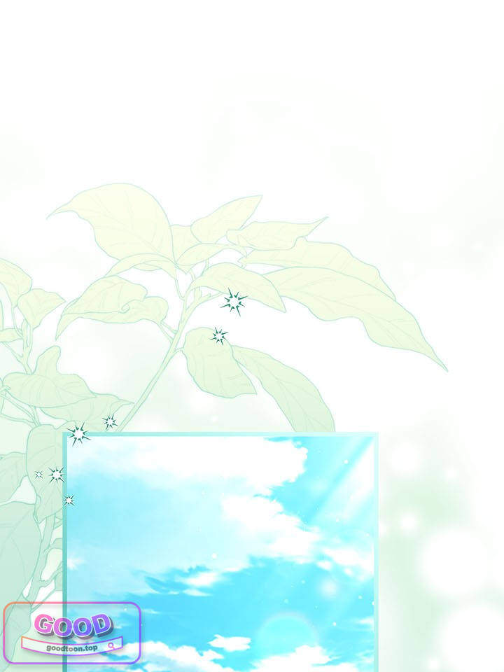 바이올렛 체로타의 졸속 결혼 프롤로그 1