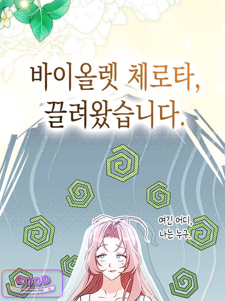 바이올렛 체로타의 졸속 결혼 프롤로그 5