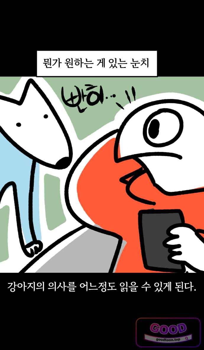 개집사 228화 뭐라고? 2