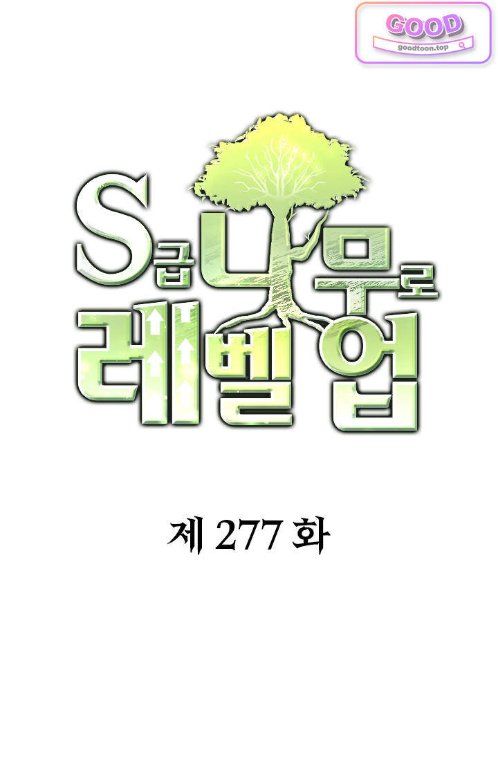 S급 나무로 레벨업 277화 1