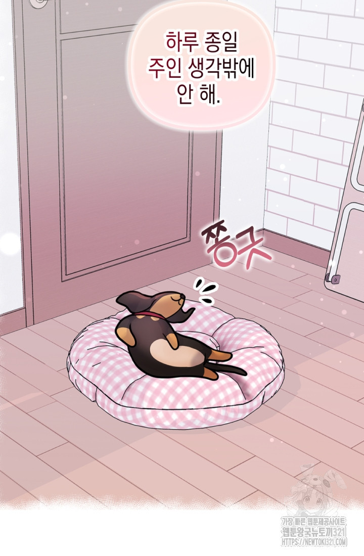 나의 수컷 강아지 13화 23