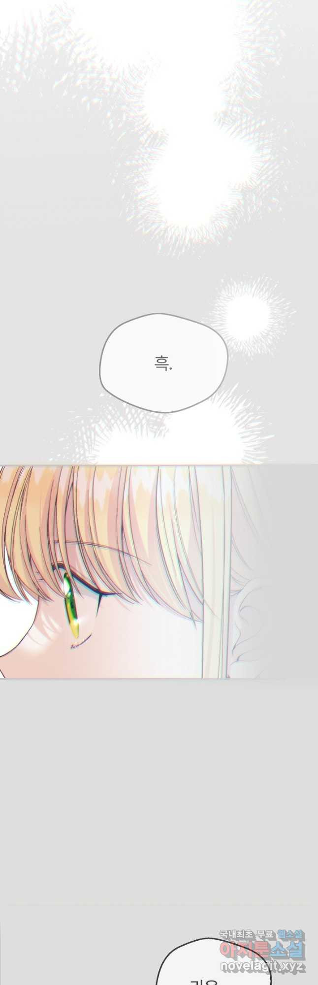 괴물 황태자의 아내가 되었습니다 94화 13