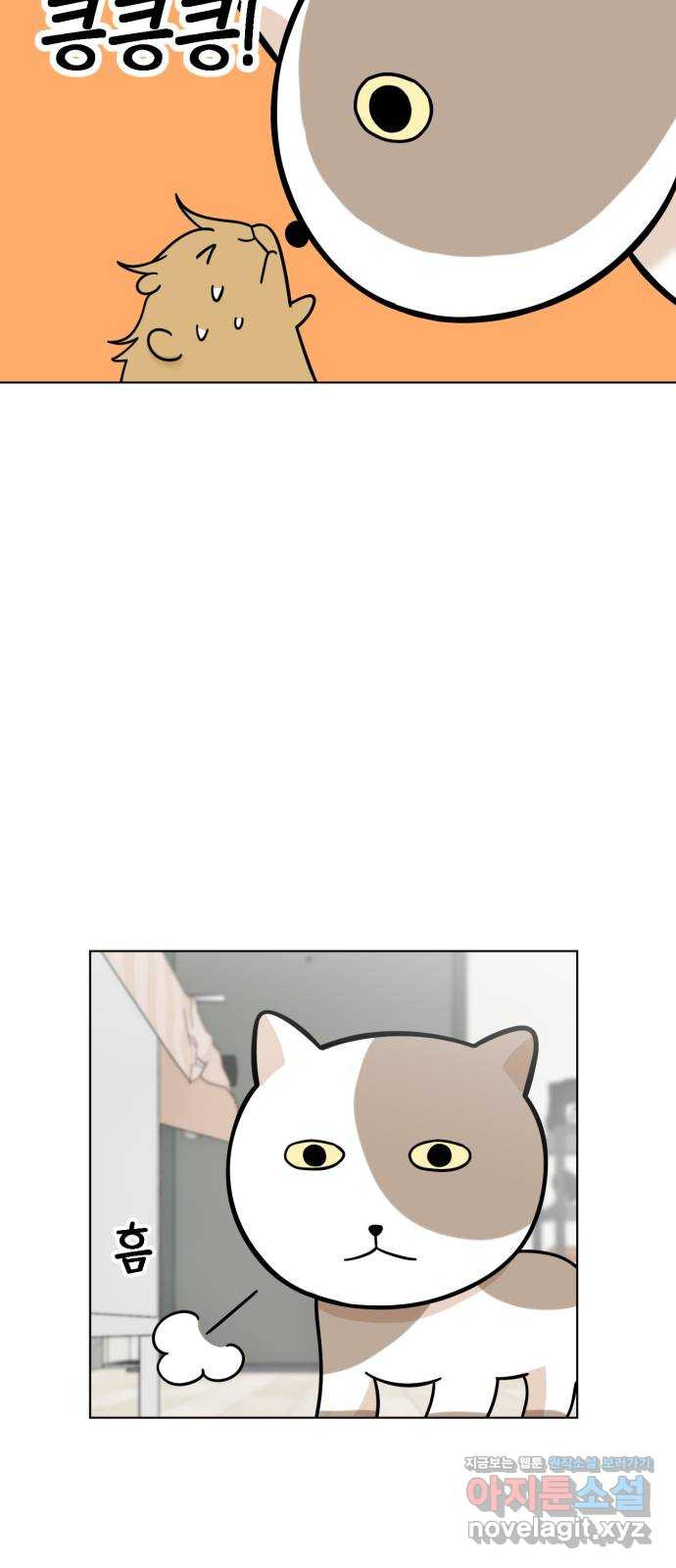 마루는강쥐 77화. 집에 보내줘 6