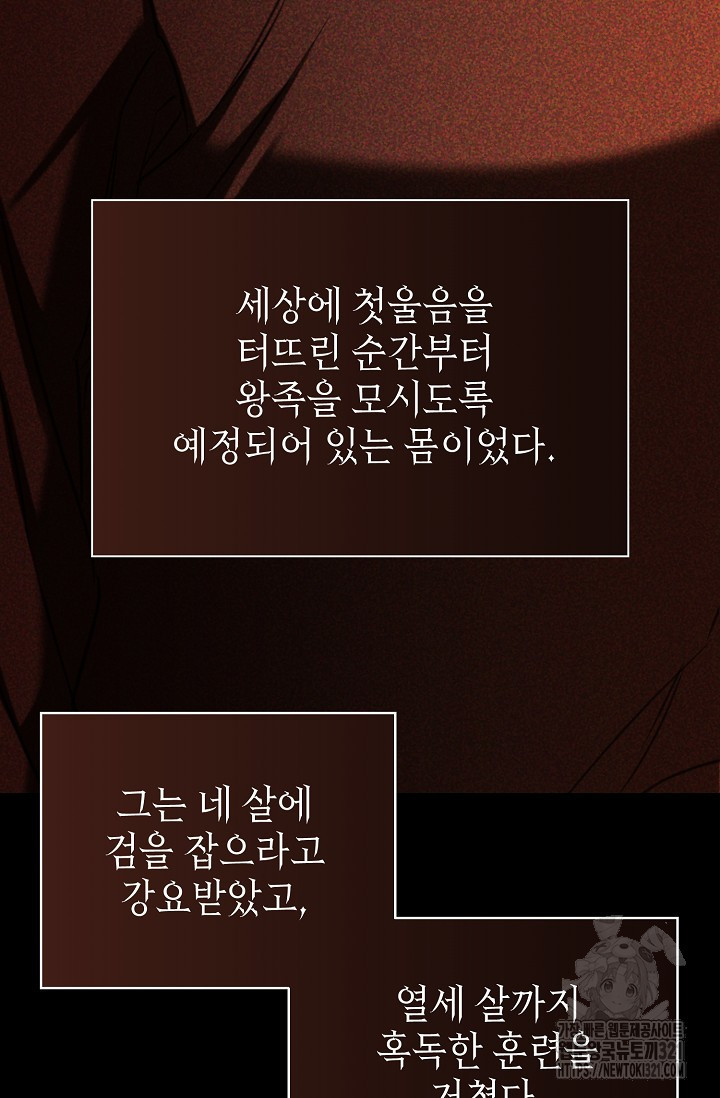 어느 왕녀를 위하여 38화 3