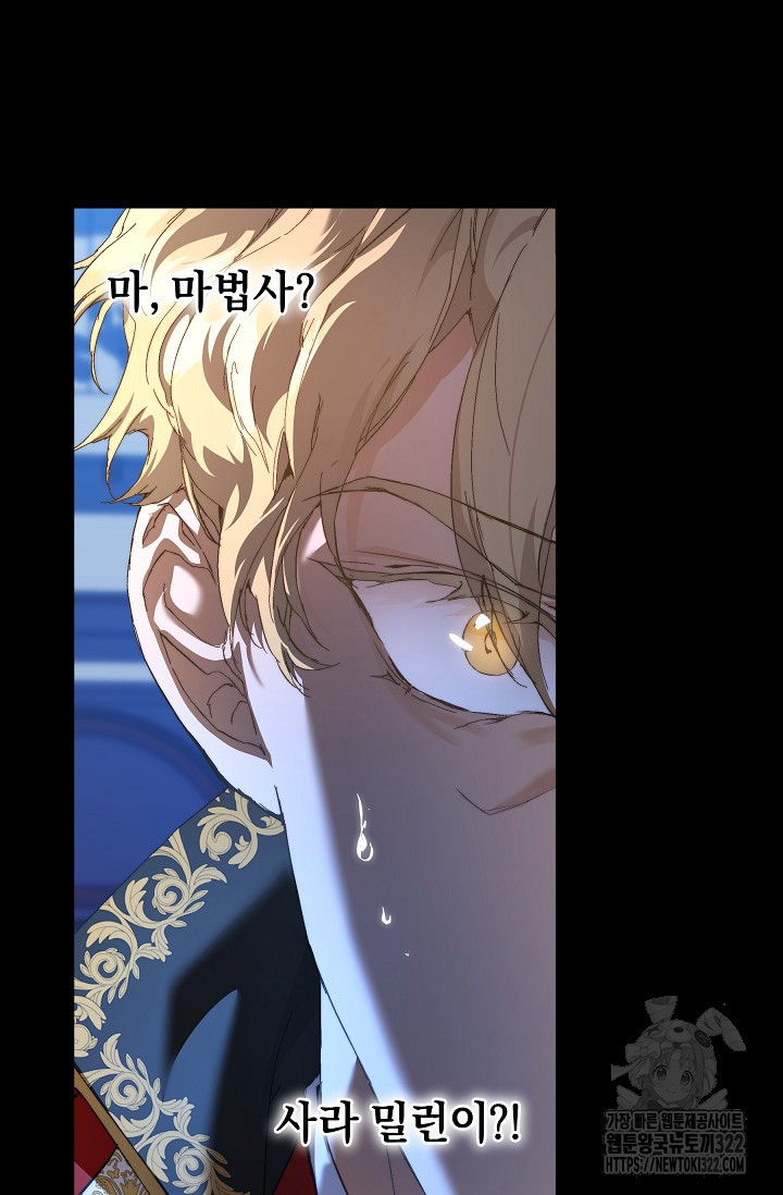흑막 남주의 시한부 유모입니다 15화 17