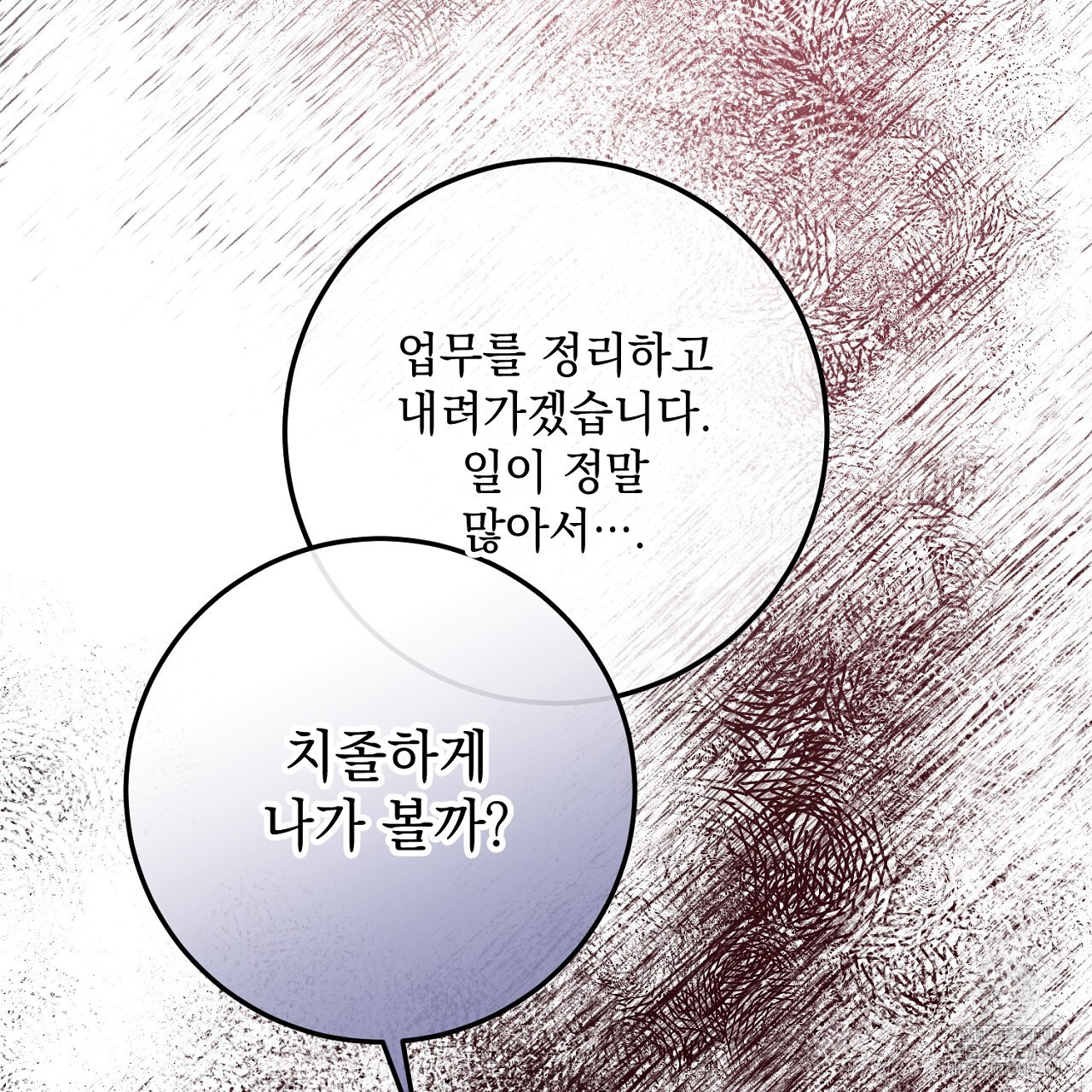 내 최애 까지 마라 49화 11