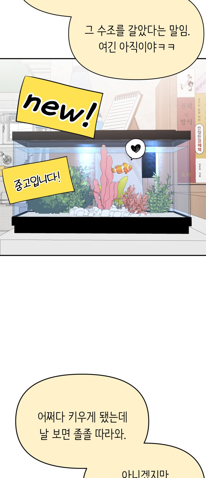 내가 사랑한 물고기 25화: 훅 들어오는 물고기 13