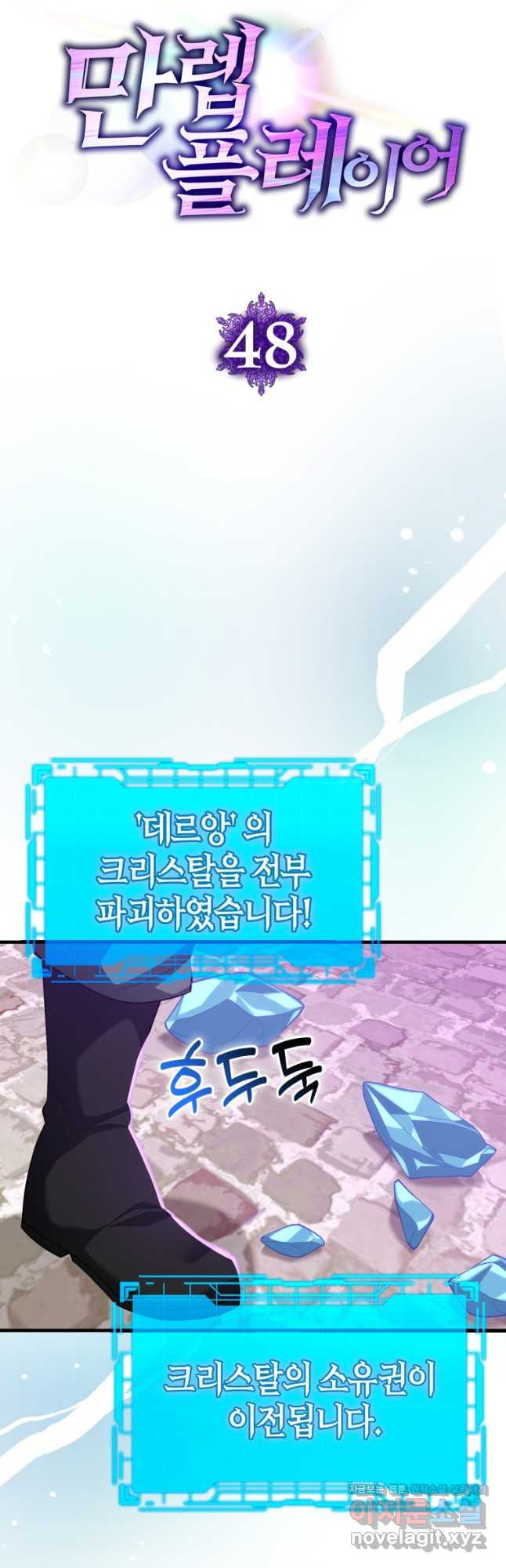 만렙 플레이어 48화 11