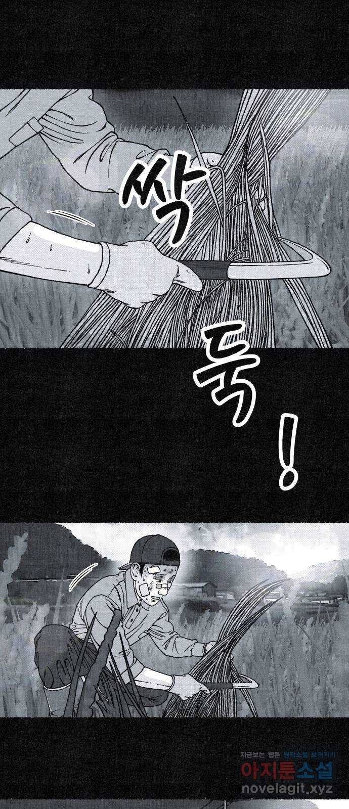 벌집 10화 21
