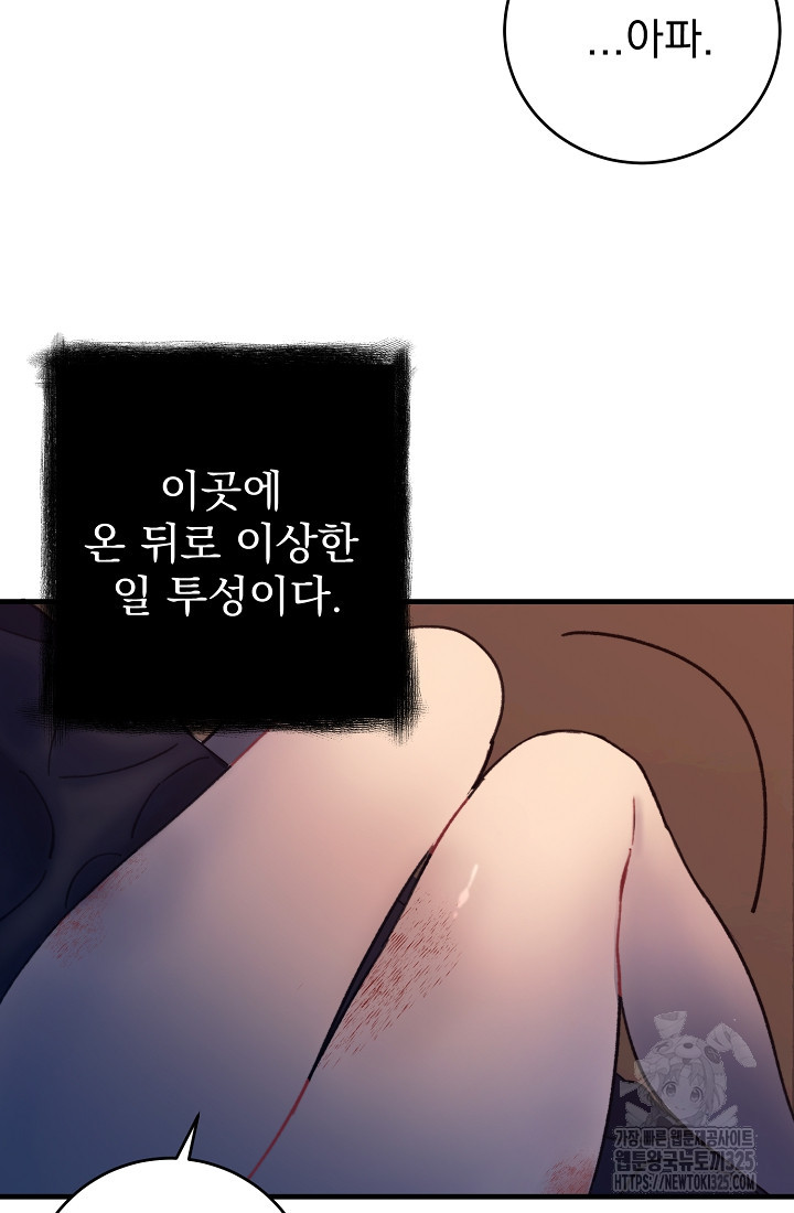 저택 영춘화:낙하산지 블라우스 6화 3