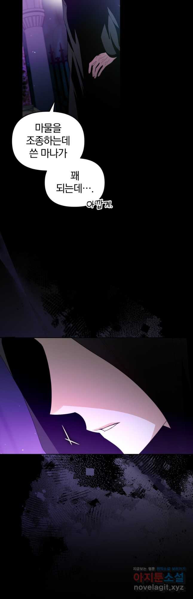 미친 악당의 품으로 떨어졌다 42화 25