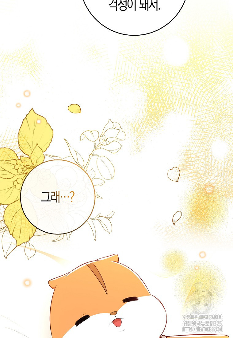 아기 다람쥐가 다 잘해요 73화 10