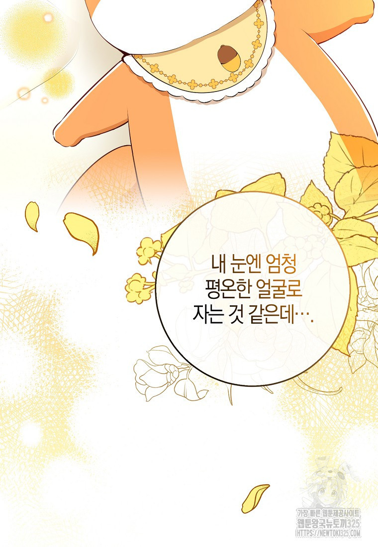 아기 다람쥐가 다 잘해요 73화 11