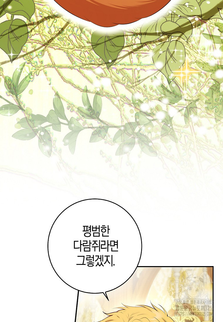 아기 다람쥐가 다 잘해요 73화 70