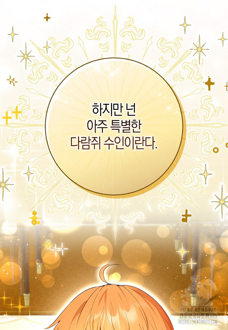 아기 다람쥐가 다 잘해요 73화 72