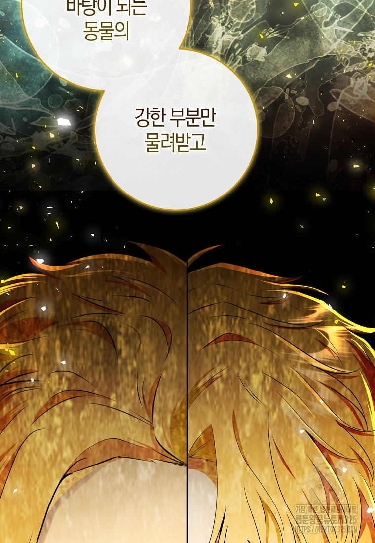 아기 다람쥐가 다 잘해요 73화 77