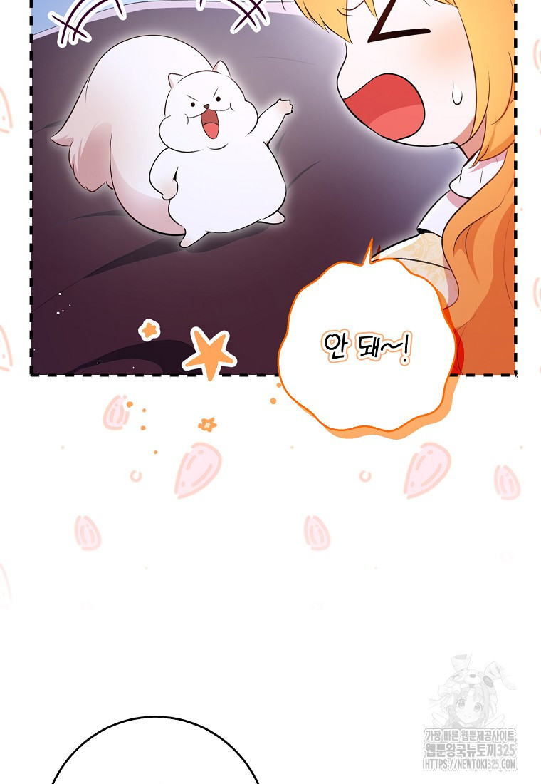 아기 다람쥐가 다 잘해요 73화 100