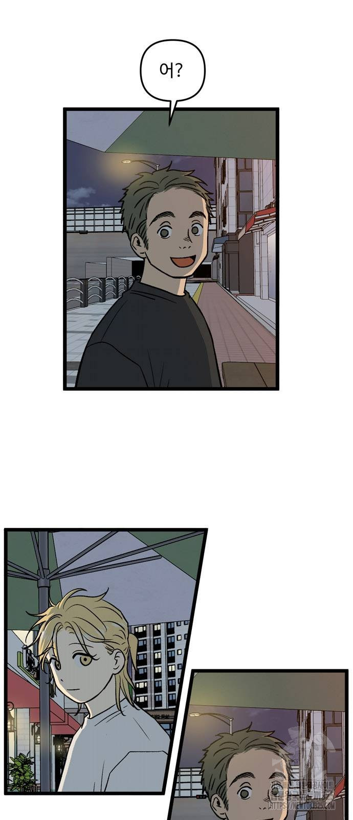 집이 없어 246화 2